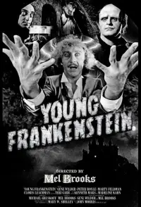 Poster to the movie "Young Frankenstein" #1021428