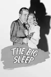 Poster to the movie "The Big Sleep" #952241