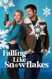 Poster to the movie "Falling Like Snowflakes" #1105326