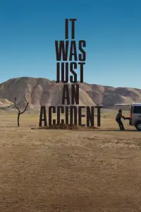 Poster to the movie "It Was Just an Accident" #1004241