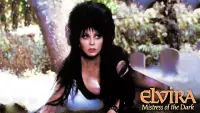 Backdrop to the movie "Elvira, Mistress of the Dark" #129952