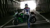 Backdrop to the movie "Kamen Rider Eins with Girls Remix" #1186353