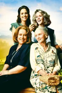 Poster to the movie "Fried Green Tomatoes" #743955