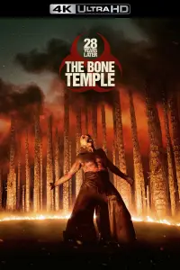 Poster to the movie "28 Years Later: The Bone Temple" #509388