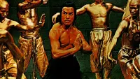 Backdrop to the movie "The Best of Shaolin Kung Fu" #831260