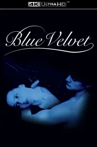 Poster to the movie "Blue Velvet" #910869