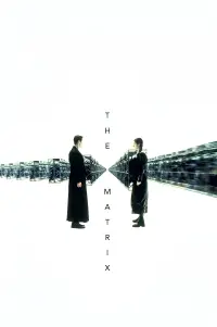 Poster to the movie "The Matrix" #903531