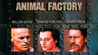 Backdrop to the movie "Animal Factory" #982588