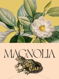 Poster to the movie "Magnolia" #949873