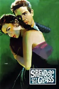 Poster to the movie "Splendor in the Grass" #825269