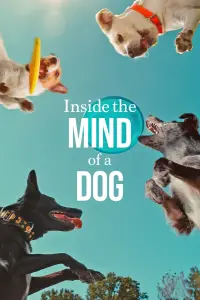 Poster to the movie "Inside the Mind of a Dog" #975672