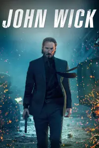 Poster to the movie "John Wick" #903225