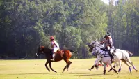 Backdrop to the movie "From Rodeo to Polo: The 1st HBCU Polo Team" #778502