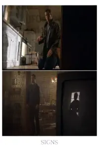 Poster to the movie "Signs" #691696