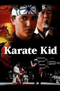 Poster to the movie "The Karate Kid" #956354