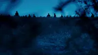 Backdrop to the movie "Che: Part Two" #788691