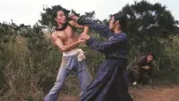 Backdrop to the movie "Disciples of Shaolin" #866241
