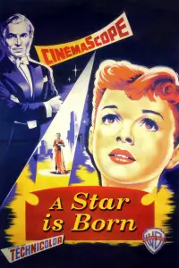 Poster to the movie "A Star Is Born" #1042519