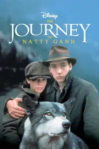 Poster to the movie "The Journey of Natty Gann" #978358