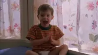 Backdrop to the movie "Superbabies: Baby Geniuses 2" #749603