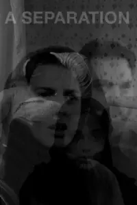 Poster to the movie "A Separation" #675061