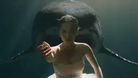 Backdrop to the movie "Escape of Shark" #615061