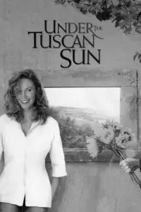 Poster to the movie "Under the Tuscan Sun" #968678