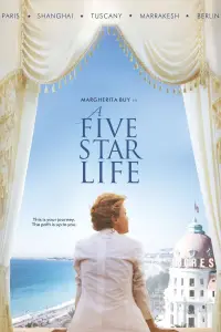 Poster to the movie "A Five Star Life" #1018101
