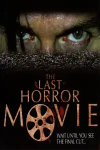 Poster to the movie "The Last Horror Movie" #968849