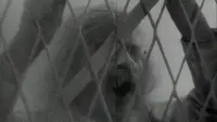 Backdrop to the movie "Vampyr" #858630