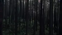 Backdrop to the movie "Keeper" #787076