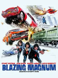 Poster to the movie "Shadows in an Empty Room" #1133981