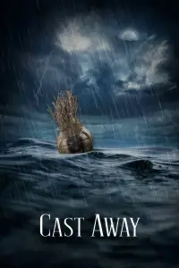 Poster to the movie "Cast Away" #937837