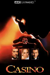 Poster to the movie "Casino" #920113