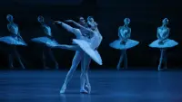 Backdrop to the movie "The Bolshoi Ballet: Swan Lake" #1046033