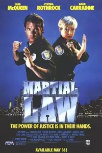 Poster to the movie "Martial Law" #1164289