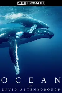 Poster to the movie "Ocean with David Attenborough" #990191