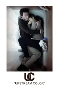 Poster to the movie "Upstream Color" #1034558