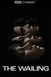 Poster to the movie "The Wailing" #937110