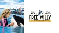 Backdrop to the movie "Free Willy: Escape from Pirate