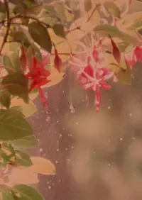 Poster to the movie "Star Garden" #1040888