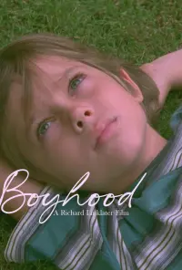 Poster to the movie "Boyhood" #692699