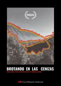 Poster to the movie "Brotando en las cenizas" #582058