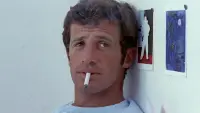 Backdrop to the movie "Pierrot le Fou" #693166