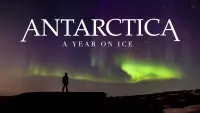 Backdrop to the movie "Antarctica: A Year on Ice" #1191196
