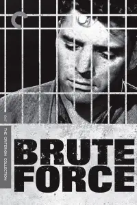Poster to the movie "Brute Force" #999999