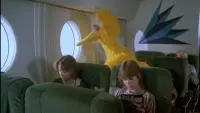 Backdrop to the movie "Follow That Bird" #749161