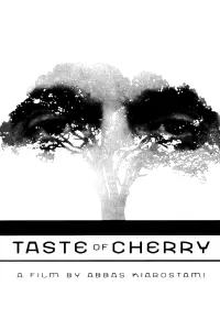 Poster to the movie "Taste of Cherry" #704295