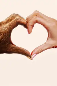 Poster to the movie "Your Monster" #683852