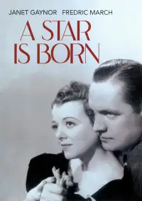 Poster to the movie "A Star Is Born" #993092